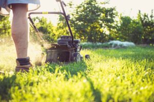 The Lawn Mowing Business